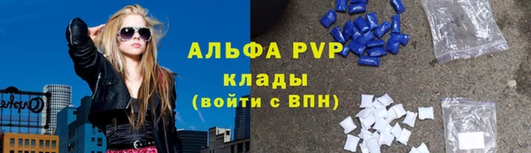 гидра Каменногорск