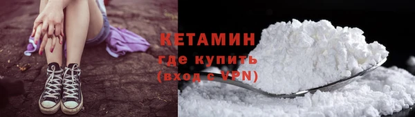 гидра Каменногорск