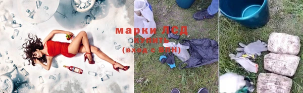 гидра Каменногорск