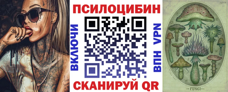 Псилоцибиновые грибы Magic Shrooms  Купить закладки  Боровичи 
